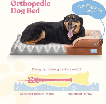 Pitpet Large Dog Bed