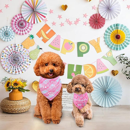 Dog Birthday Bandana Small Reversible Multi Size Offered for Dog Birthday Girl