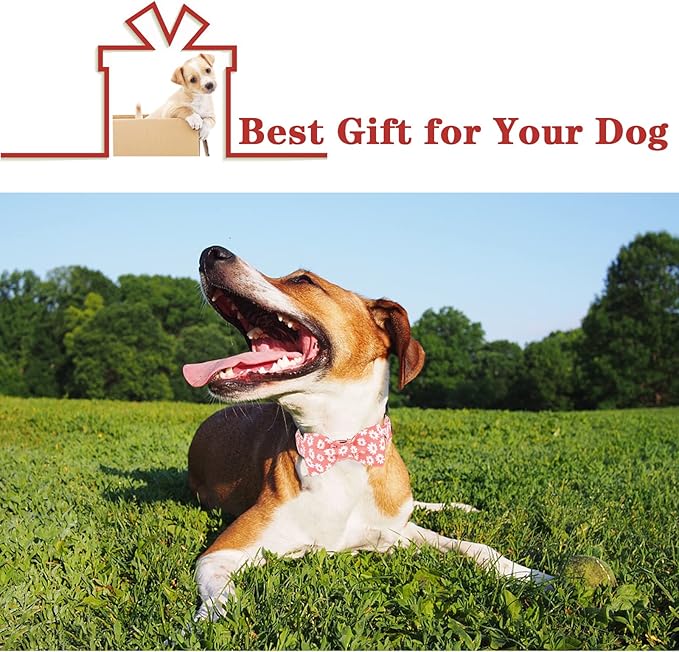 Unique style paws Dog Collar with Bow Tie