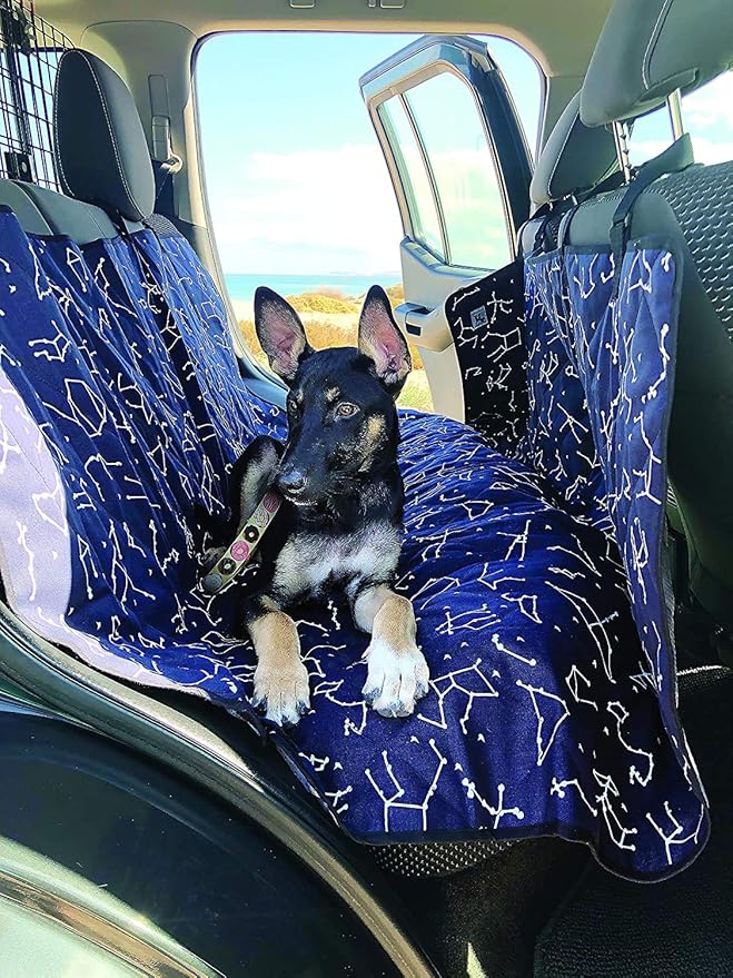 Molly Mutt Papillon Dog Car Seat Cover 56" x 56"