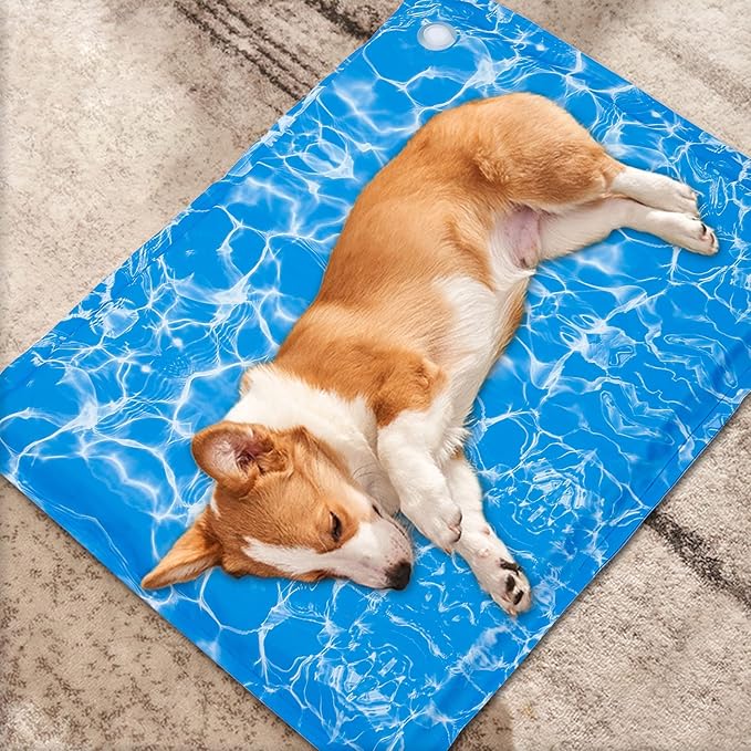 Dog Cooling Mat Water Injection Pet Cooling Mat (19x35 in)