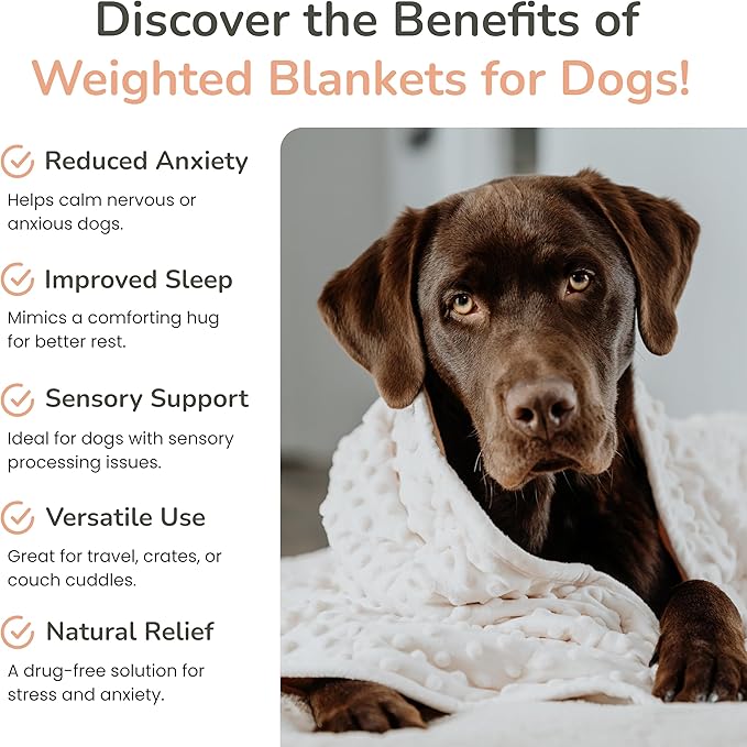 Calming Weighted Dog Blanket for Anxiety Relief