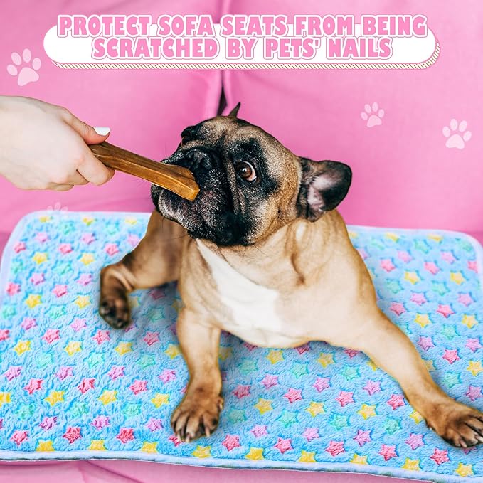 Chumia 18 Pcs Fleece Pet Blanket Soft Warm (30 x 20 Inch)