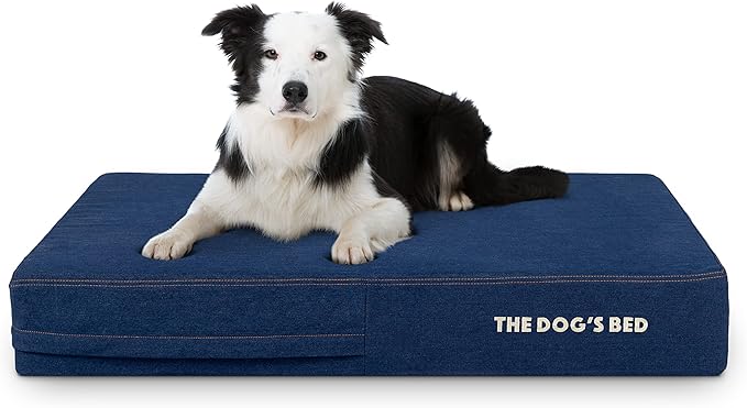 The Dog’s Bed Orthopedic Memory Foam Dog Bed 40x25, Pain
