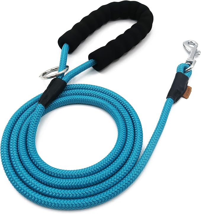 Dog Leash ((1/3") - 6FT, Light