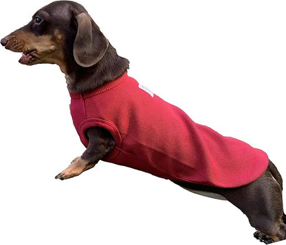 Dachshund Clothes for Dogs Mini and Adults T Shirts (XS