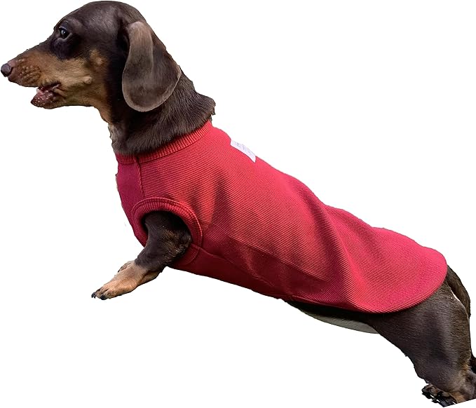 Dachshund Clothes for Dogs Mini and Adults T Shirts (XL