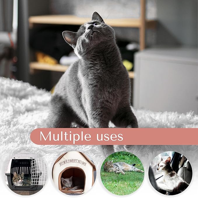 Washable Dog Cat Bed 31L x 21W x 5Th inches)