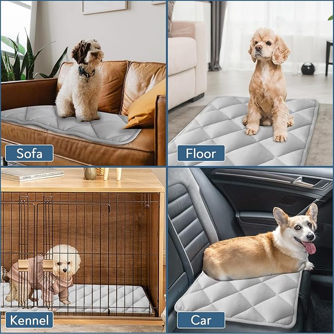 Dog Crate Pad 2 Pack 24 Inch