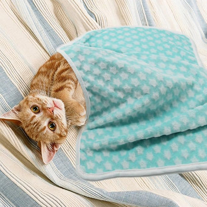 1 Pack 3 Dog Blankets Super Soft Puppy Blankets Warm Sleep Mat Star Print Blanket Fluffy Fleece Pet Blanket Flannel Throw Blankets for Small Dogs Puppy Dogs Fluffy Cats (29"x20")