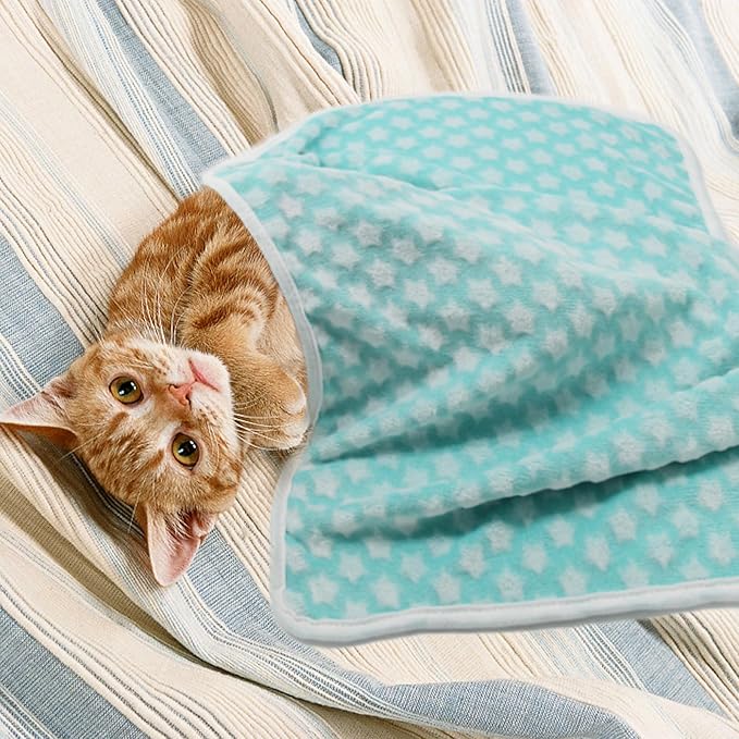 1 Pack 3 Dog Blankets Super Soft Puppy Blankets Warm Sleep Mat Star Print Blanket Fluffy Fleece Pet Blanket Flannel Throw Blankets for Small Dogs Puppy Dogs Fluffy Cats Star-Large(40"x30")
