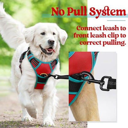 rabbitgoo Dog Harness, No-Pull Pet Harness with 2 Leash Clips, Adjustable Soft Padded Dog Vest, Reflective No-Choke Pet Oxford Vest with Easy Control Handle for Large Dogs, Red & Teal, S