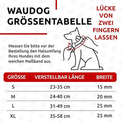 WAUDOG Waterproof Dog Collar