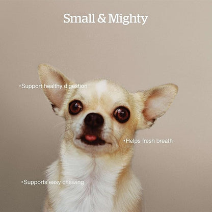 Now Fresh Grain-Free Dry Dog Food 12 lb