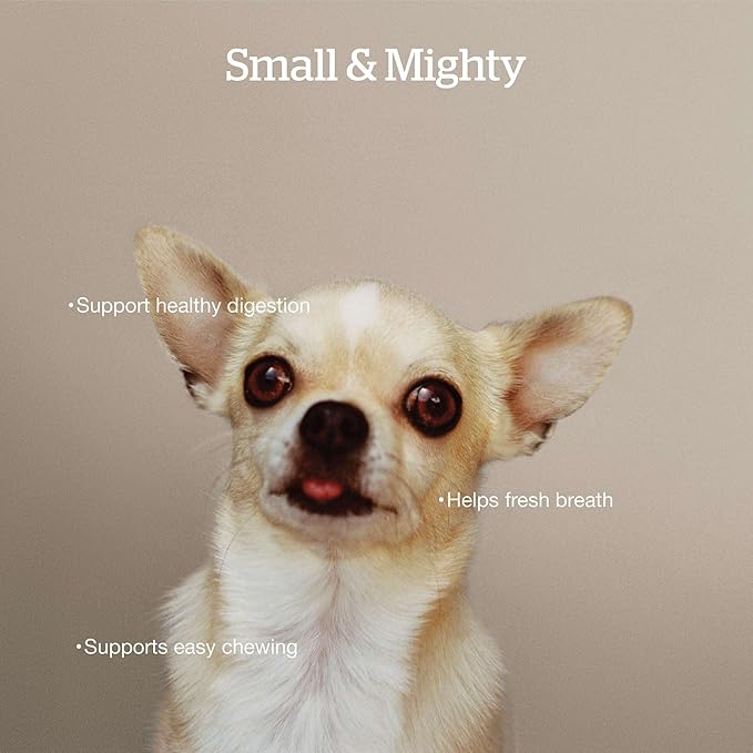 Now Fresh Grain-Free Dry Dog Food 6 lb