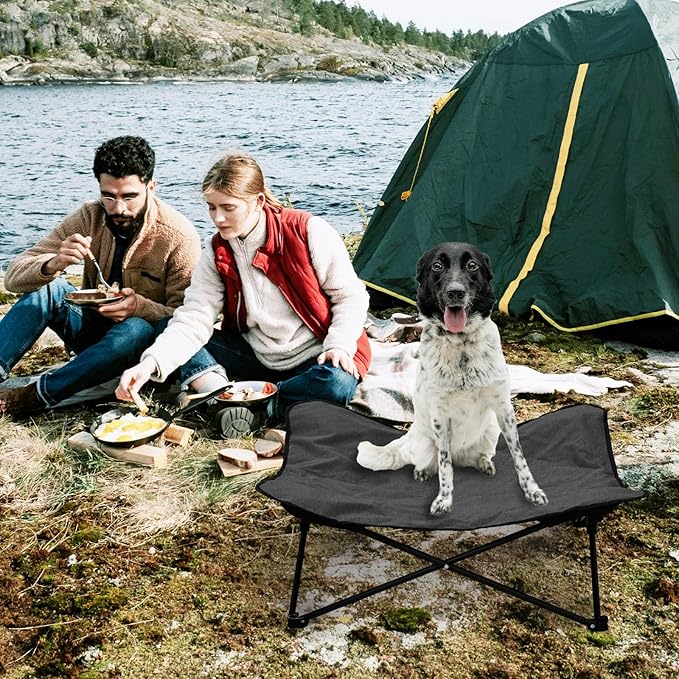 Elevated Dog Bed (36x36x12inch)