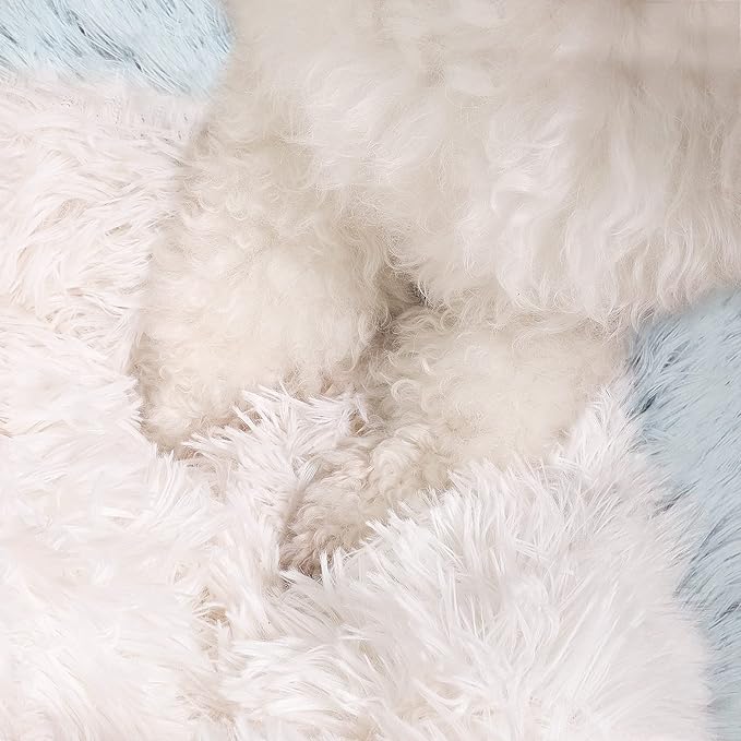 NOYAL Dog Bed Round Hooded Plush Cat Cave