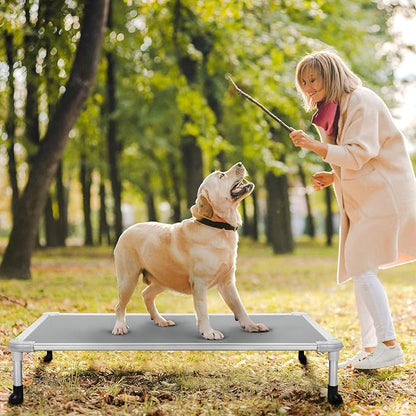 Veehoo Chew Proof Elevated Dog Bed CWC2003