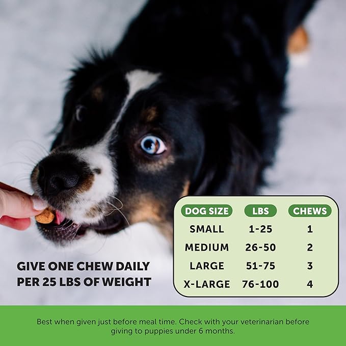 Pet Honesty Probiotics for Dogs 90 ct)