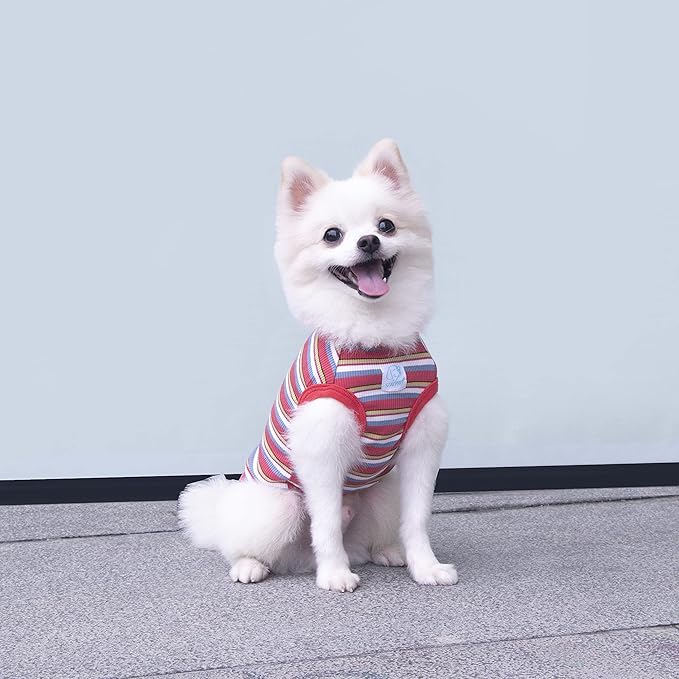 Striped Teacup Pet Dog T-Shirts 100% Cotton 3X-Small