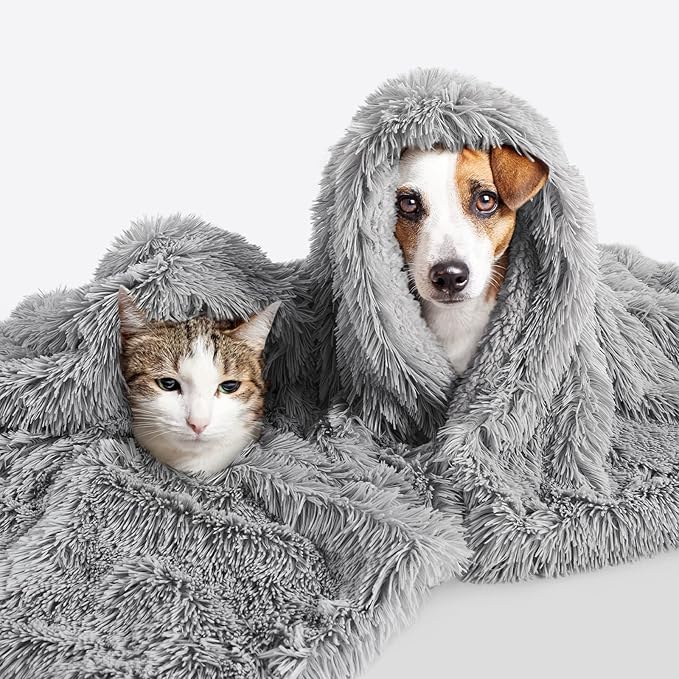 LOCHAS Luxury Fluffy Dog Blanket 20''x30'' Grey