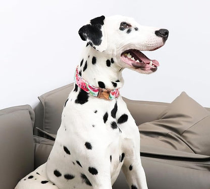 Unique style paws Dog Collar Metal Buckle Collar