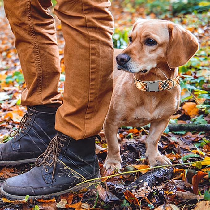 Lionheart glory Plaid Dog Collars Fall Halloween Dog