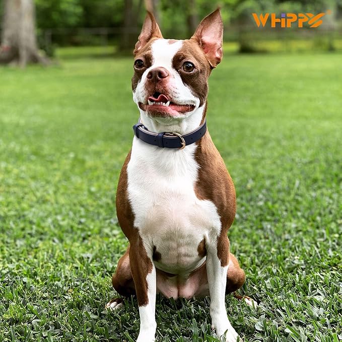 WHIPPY Soft Padded Leather Dog Collar for Small Medium Large Dogs Heavy Duty Dog Collar with Adjustable Rust-Proof Metal Hardware