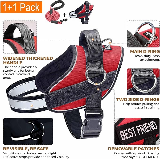 Haapaw Essential Dog Harness, No Pull Pet Vest with 3 Leash Clips, No Choke, Reflective, Adjustable and Padded, for Easy Walking and Training for Medium Dogs(M, Red)