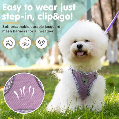 Dog Harness and Leash Set