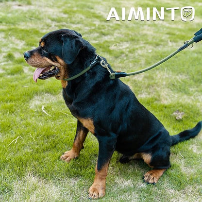 Dog Leash ((1/2") - 6FT, Dark