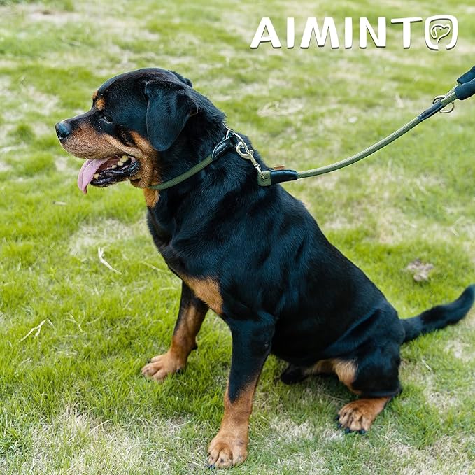 Dog Leash ((1/2") - 2FT, Dark