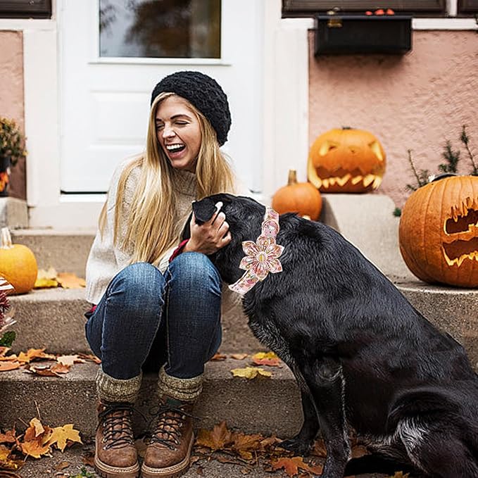 Elegant little tail Halloween Dog Collar