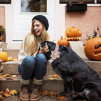 Elegant little tail Halloween Dog Collar