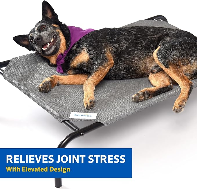 Coolaroo The Original Cooling Elevated Pet Bed