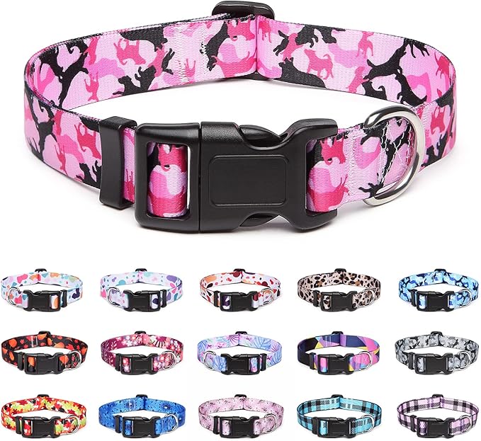 Adjustable Dog Collar with Patterns