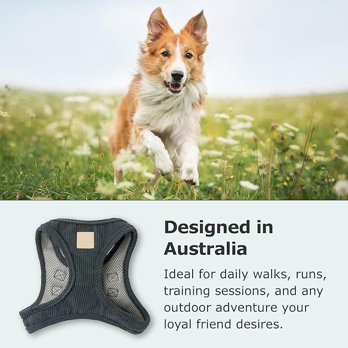 FuzzYard Life Corduroy Step in Dog Harness