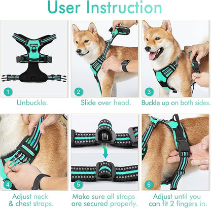 rabbitgoo Dog Harness, No-Pull Pet Harness with 2 Leash Clips, Adjustable Soft Padded Dog Vest, Reflective No-Choke Pet Oxford Vest with Easy Control Handle for Medium Dogs, Turquoise, M