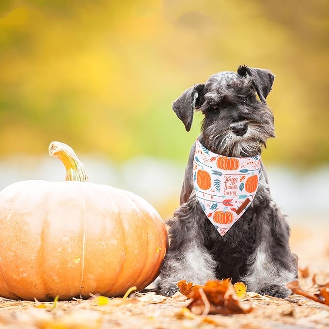 ADOGGYGO Thanksgiving Dog Bandana