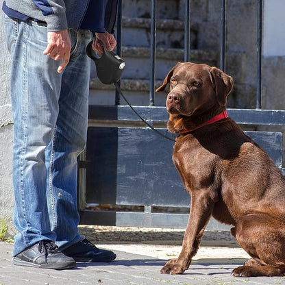 Retractable Dog Leash with Flashlight 16ft Walking Leash for Dogs up to 77lbs 360° Tangle-Free