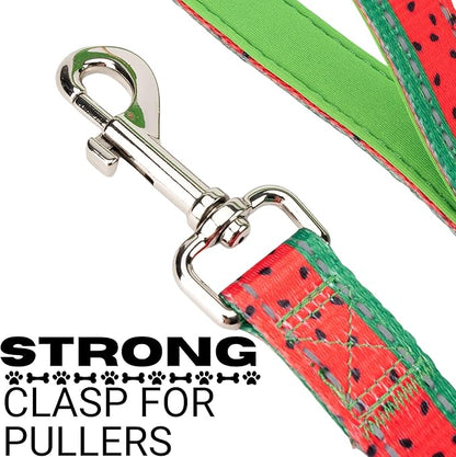 EcoBark Dog Leash - Soft & Reflective Comfort Leash with Padded Handle - Strong Durable Heavy Duty - Training and Pulling for Small, Medium or Large Dogs (Watermelon)