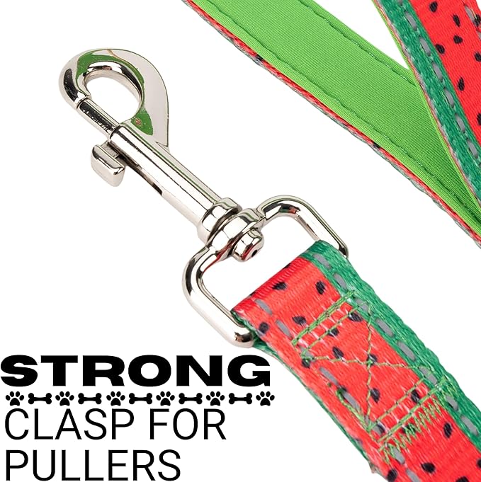 EcoBark Dog Leash - Soft & Reflective Comfort Leash with Padded Handle - Strong Durable Heavy Duty - Training and Pulling for Small, Medium or Large Dogs (Watermelon)