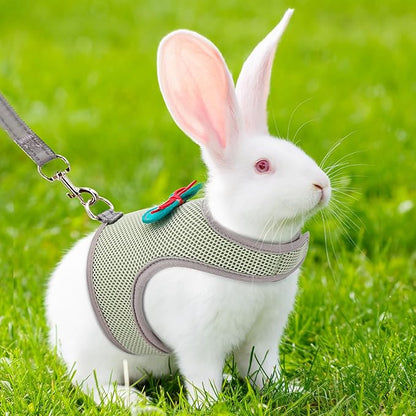 AIITLE Rabbit Harness and Leash Set with Cute Bow, Adjustable Bunny Harness Escape Proof for Rabbits Kitten Ferret Puppy Small Pets Walking Runnig Hiking Camping Outdoor Olive Green L