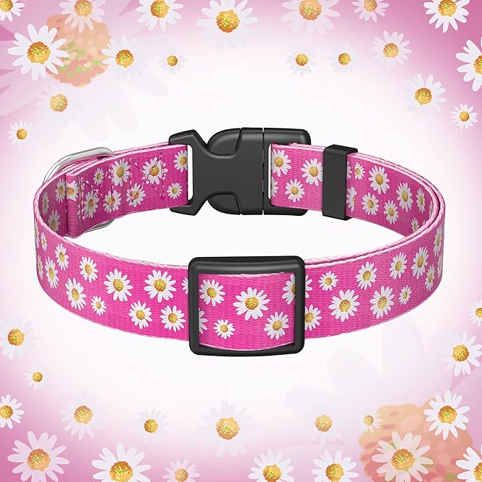 Cute Floral Dog Collar for Small Medium Large Dogs