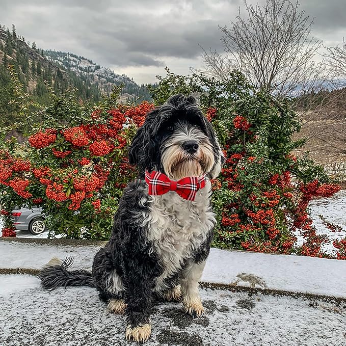 Lionheart glory Christmas Plaid Dog Collar, Red Dog Bow Collar Adjustable Soft and Comfortable Bowtie Collars for Large Dogs Girl or Boy Pet Gift Fall Collar Dog Bow