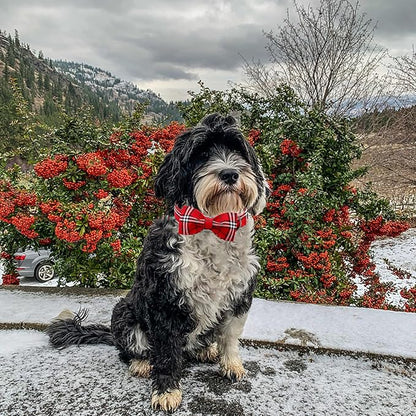 Lionheart glory Christmas Plaid Dog Collar, Red Dog Bow Collar Adjustable Soft and Comfortable Bowtie Collars for Large Dogs Girl or Boy Pet Gift Fall Collar Dog Bow