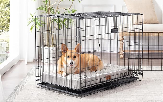 SunStyle Home Orthopedic Dog Beds for XX-Large Dogs