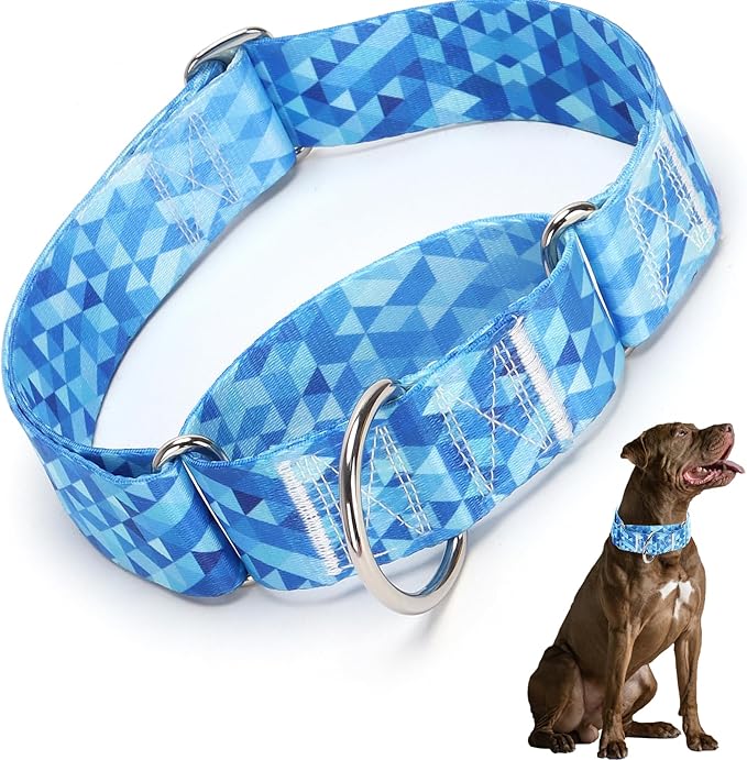 Martingale Collar 1.5 Inches Wide Dog Collar