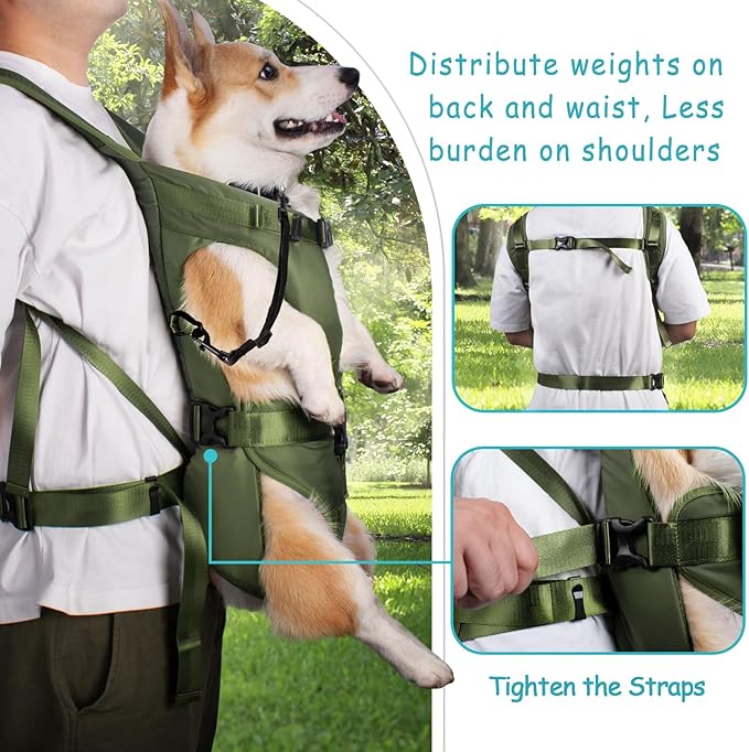 PetBonus Pet Front Dog Carrier Backpacks, Adjustable Backpack Legs Out Easy-fit Chest Carrier for Medium Small Dogs, Hands Free Dog Front Carrier for Hiking, Cycling (Army Green, S)