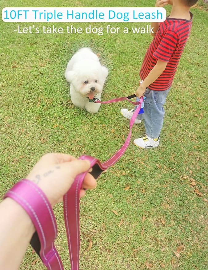 3 Handle Dog Leash 10FT Triple
